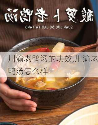 川渝老鸭汤的功效,川渝老鸭汤怎么样-第3张图片-石头美食网