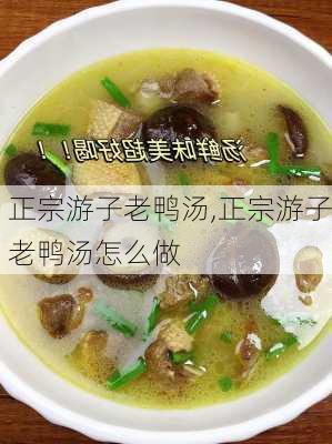 正宗游子老鸭汤,正宗游子老鸭汤怎么做-第3张图片-石头美食网