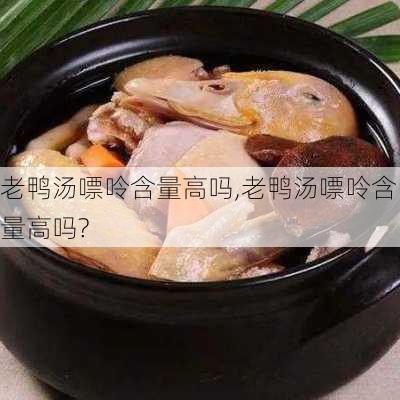 老鸭汤嘌呤含量高吗,老鸭汤嘌呤含量高吗?-第2张图片-石头美食网