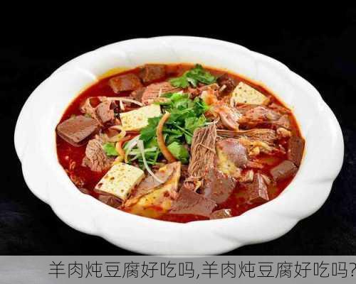 羊肉炖豆腐好吃吗,羊肉炖豆腐好吃吗?-第1张图片-石头美食网