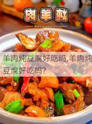 羊肉炖豆腐好吃吗,羊肉炖豆腐好吃吗?-第2张图片-石头美食网