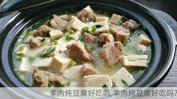 羊肉炖豆腐好吃吗,羊肉炖豆腐好吃吗?-第3张图片-石头美食网