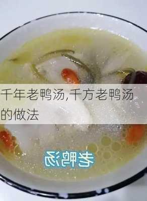 千年老鸭汤,千方老鸭汤的做法-第1张图片-石头美食网