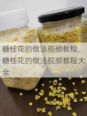 糖桂花的做法视频教程,糖桂花的做法视频教程大全-第3张图片-石头美食网