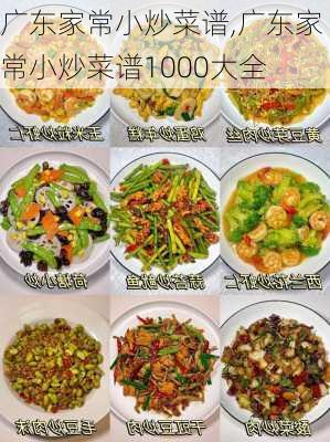 广东家常小炒菜谱,广东家常小炒菜谱1000大全