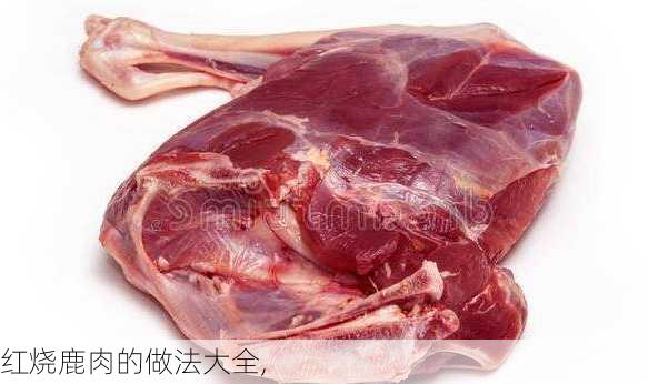 红烧鹿肉的做法大全,-第1张图片-石头美食网