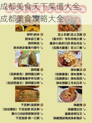 成都美食天下菜谱大全,成都美食攻略大全