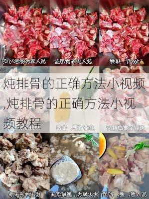 炖排骨的正确方法小视频,炖排骨的正确方法小视频教程-第2张图片-石头美食网