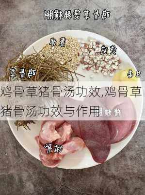 鸡骨草猪骨汤功效,鸡骨草猪骨汤功效与作用-第3张图片-石头美食网