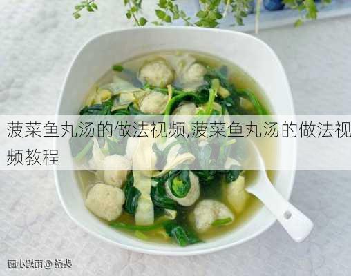 菠菜鱼丸汤的做法视频,菠菜鱼丸汤的做法视频教程-第3张图片-石头美食网