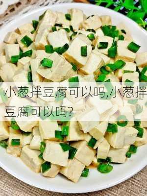 小葱拌豆腐可以吗,小葱拌豆腐可以吗?-第2张图片-石头美食网