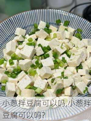 小葱拌豆腐可以吗,小葱拌豆腐可以吗?-第3张图片-石头美食网