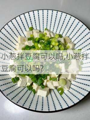 小葱拌豆腐可以吗,小葱拌豆腐可以吗?-第1张图片-石头美食网