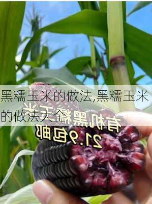 黑糯玉米的做法,黑糯玉米的做法大全