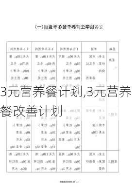 3元营养餐计划,3元营养餐改善计划-第1张图片-石头美食网