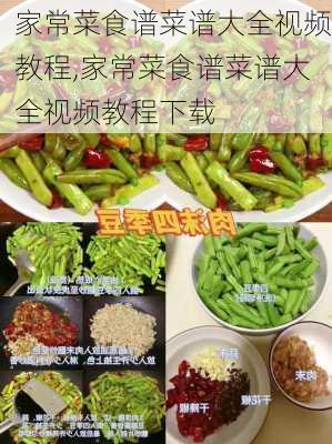 家常菜食谱菜谱大全视频教程,家常菜食谱菜谱大全视频教程下载-第3张图片-石头美食网