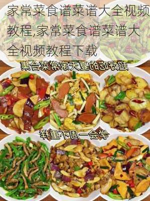 家常菜食谱菜谱大全视频教程,家常菜食谱菜谱大全视频教程下载-第2张图片-石头美食网