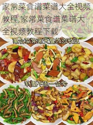 家常菜食谱菜谱大全视频教程,家常菜食谱菜谱大全视频教程下载