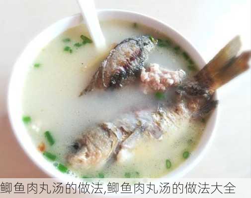 鲫鱼肉丸汤的做法,鲫鱼肉丸汤的做法大全