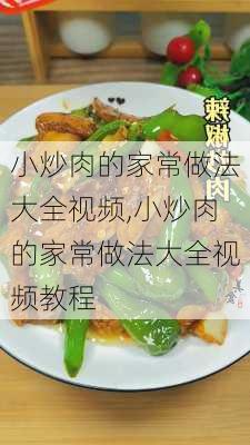 小炒肉的家常做法大全视频,小炒肉的家常做法大全视频教程