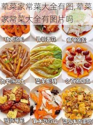 荤菜家常菜大全有图,荤菜家常菜大全有图片吗-第2张图片-石头美食网