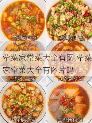 荤菜家常菜大全有图,荤菜家常菜大全有图片吗-第1张图片-石头美食网