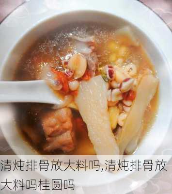 清炖排骨放大料吗,清炖排骨放大料吗桂圆吗