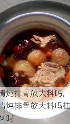 清炖排骨放大料吗,清炖排骨放大料吗桂圆吗-第2张图片-石头美食网