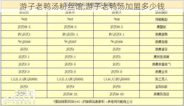 游子老鸭汤粉丝馆,游子老鸭汤加盟多少钱