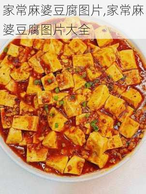 家常麻婆豆腐图片,家常麻婆豆腐图片大全-第1张图片-石头美食网