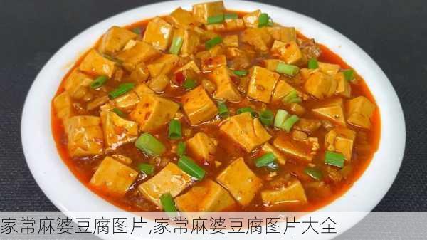 家常麻婆豆腐图片,家常麻婆豆腐图片大全-第3张图片-石头美食网