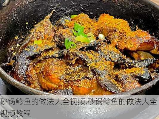 砂锅鲶鱼的做法大全视频,砂锅鲶鱼的做法大全视频教程-第3张图片-石头美食网