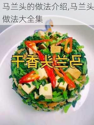 马兰头的做法介绍,马兰头做法大全集-第1张图片-石头美食网