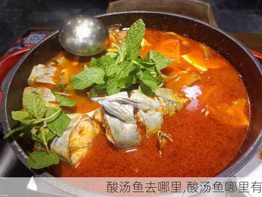 酸汤鱼去哪里,酸汤鱼哪里有-第2张图片-石头美食网