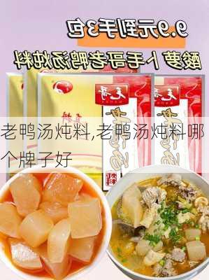 老鸭汤炖料,老鸭汤炖料哪个牌子好-第2张图片-石头美食网