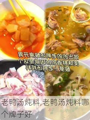 老鸭汤炖料,老鸭汤炖料哪个牌子好-第3张图片-石头美食网