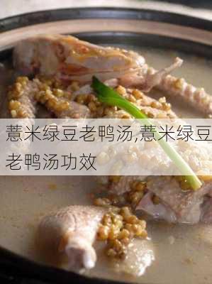 薏米绿豆老鸭汤,薏米绿豆老鸭汤功效