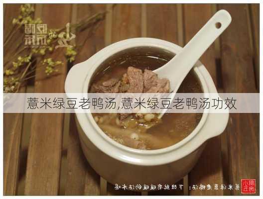 薏米绿豆老鸭汤,薏米绿豆老鸭汤功效-第3张图片-石头美食网