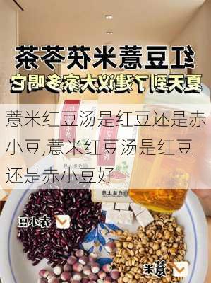 薏米红豆汤是红豆还是赤小豆,薏米红豆汤是红豆还是赤小豆好-第2张图片-石头美食网