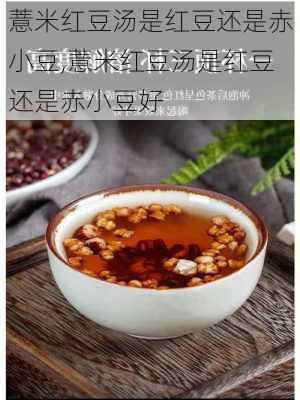 薏米红豆汤是红豆还是赤小豆,薏米红豆汤是红豆还是赤小豆好