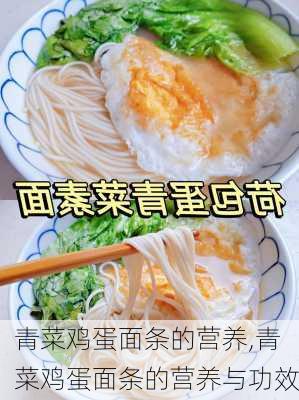 青菜鸡蛋面条的营养,青菜鸡蛋面条的营养与功效-第2张图片-石头美食网